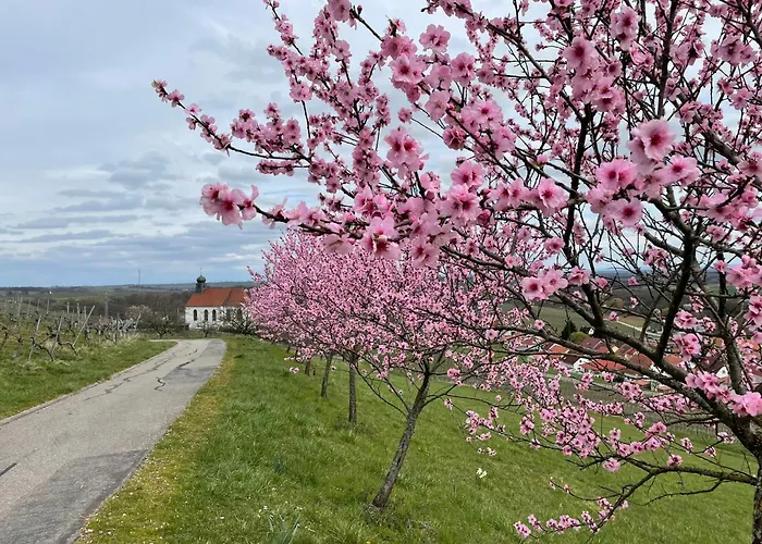 Winzerlodge, Wohnung Hatzelberg