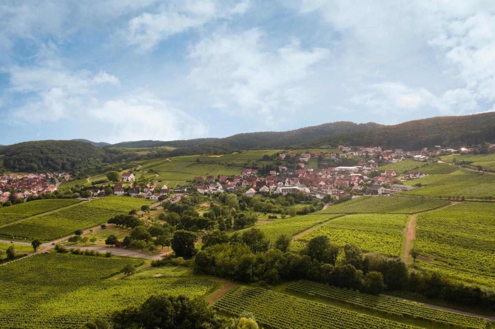 Winzerlodge, Hatzelberg * Gleiszellen-Gleishorbach
