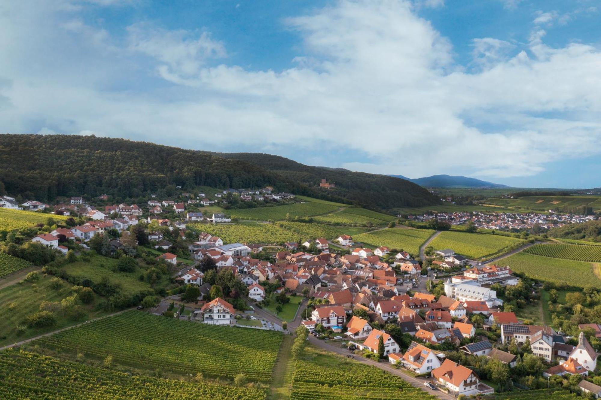 Winzerlodge, Hatzelberg * Gleiszellen-Gleishorbach